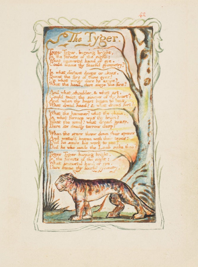 Illuminated Books cover